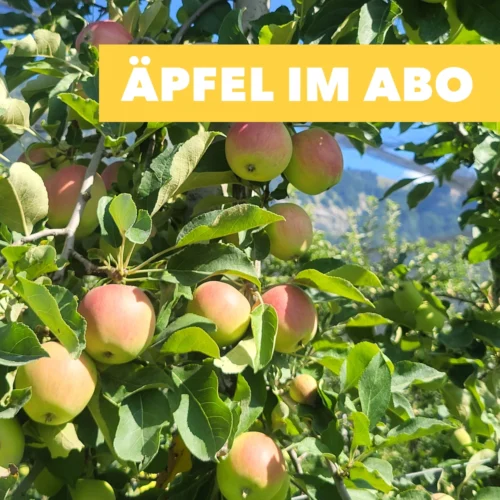 800 Apfelabo